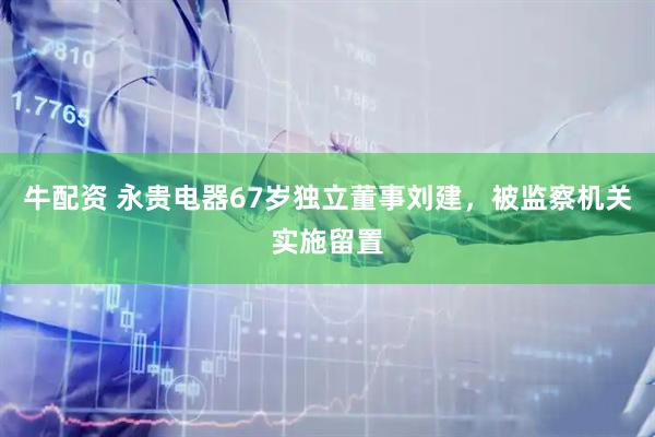 牛配资 永贵电器67岁独立董事刘建，被监察机关实施留置