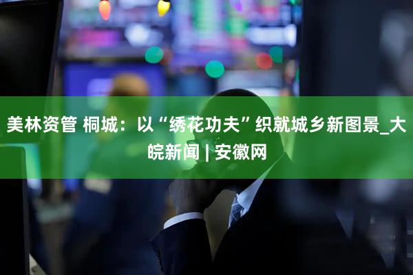 美林资管 桐城：以“绣花功夫”织就城乡新图景_大皖新闻 | 安徽网