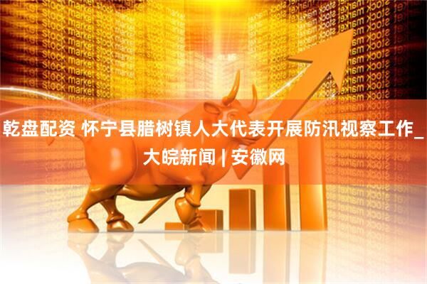 乾盘配资 怀宁县腊树镇人大代表开展防汛视察工作_大皖新闻 | 安徽网