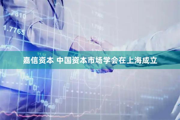 嘉信资本 中国资本市场学会在上海成立